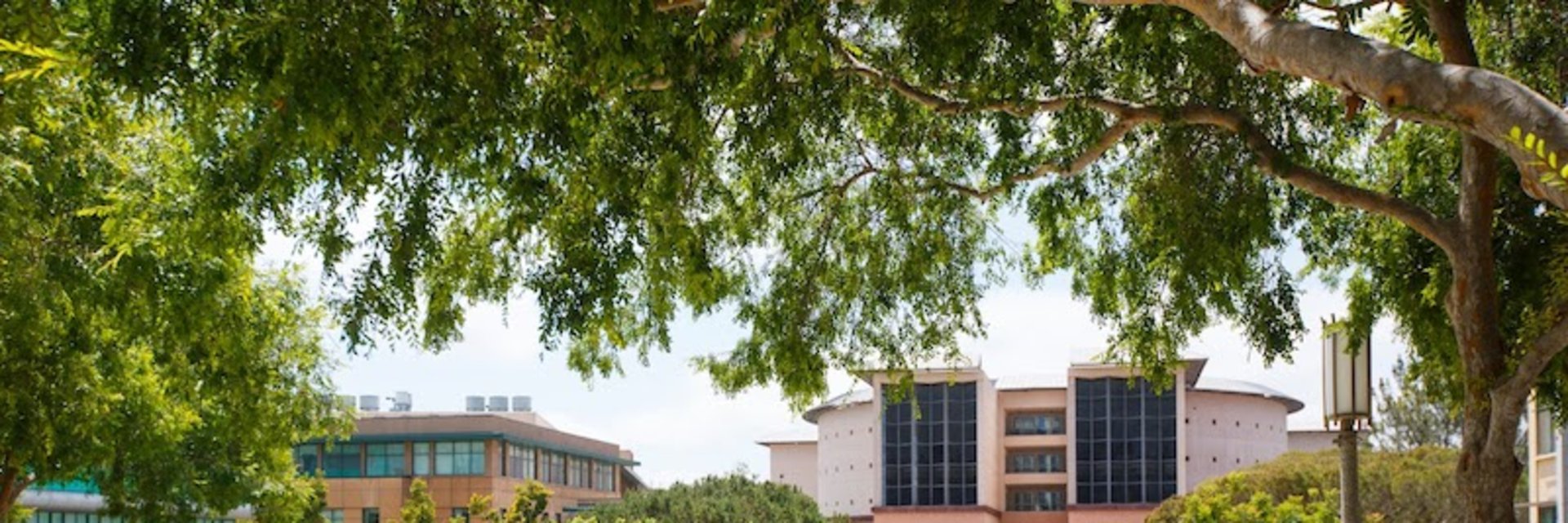 Learn More About The Uci X Flatiron School Online Web