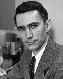 How Claude Shannon and One Formula Brought Us Into the ...