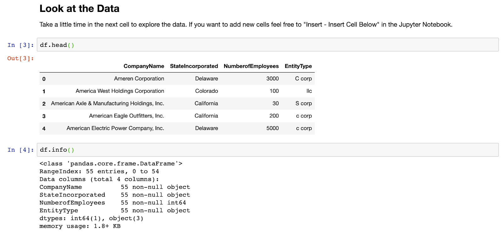 A Hands On Introduction To Data Cleaning In Python Using Pandas 6196