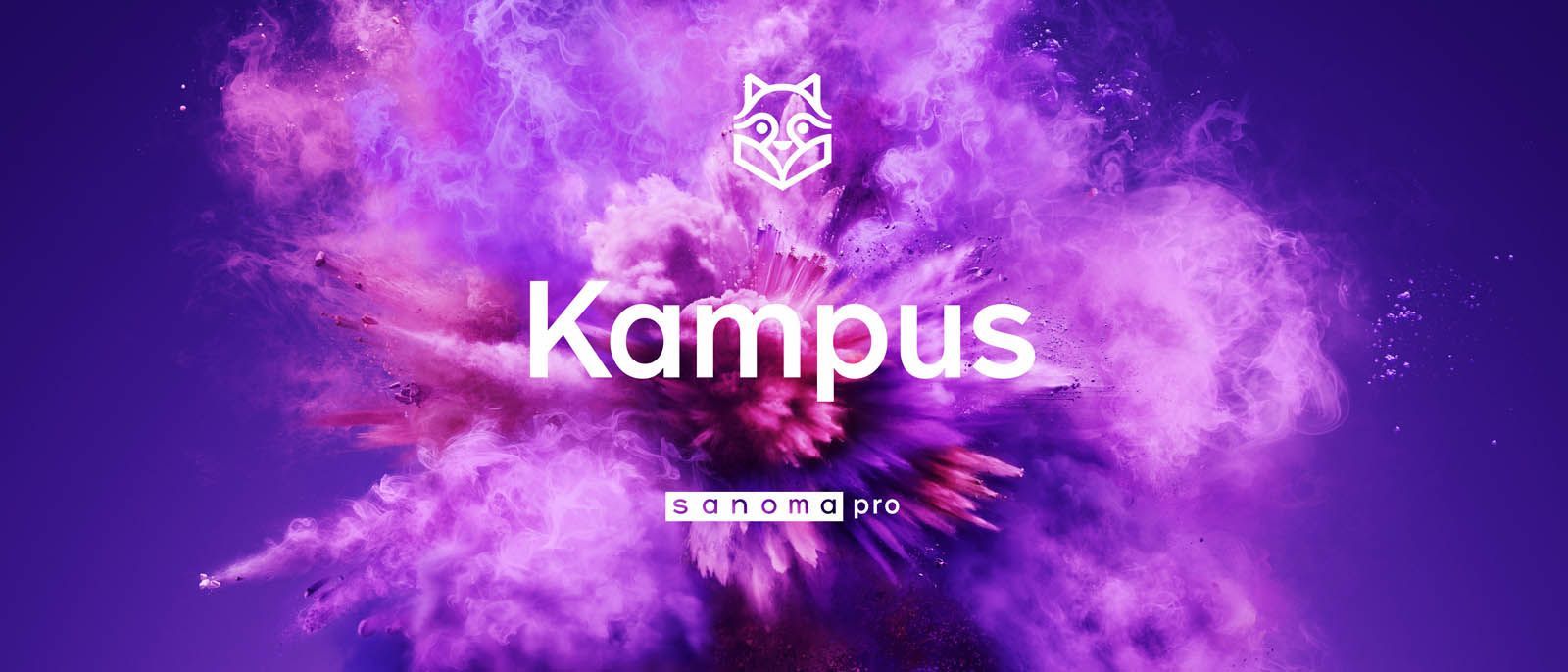 Design Sprint Sanoma Pro x Wunderdog