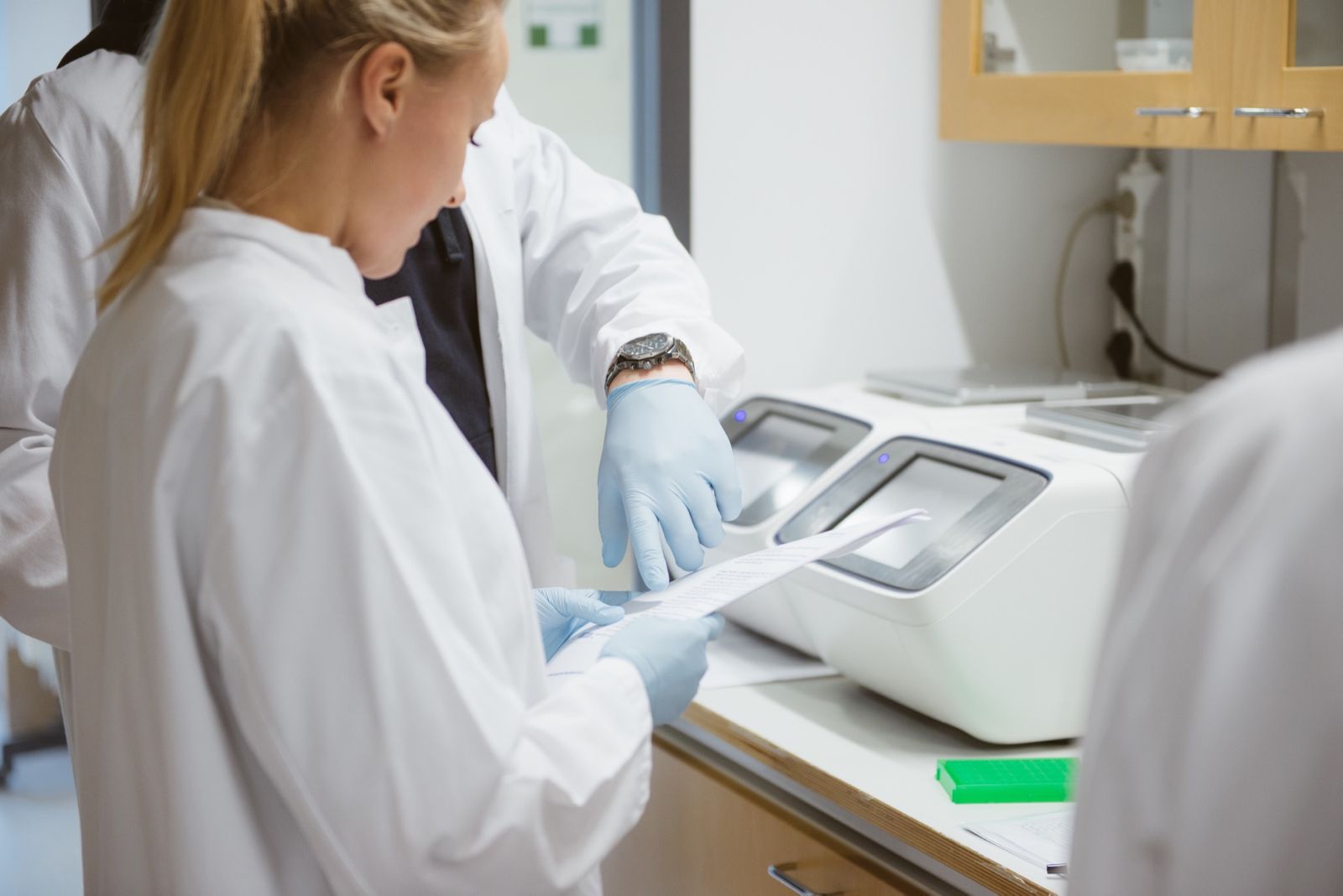 Blueprint Genetics Wunderdog  5