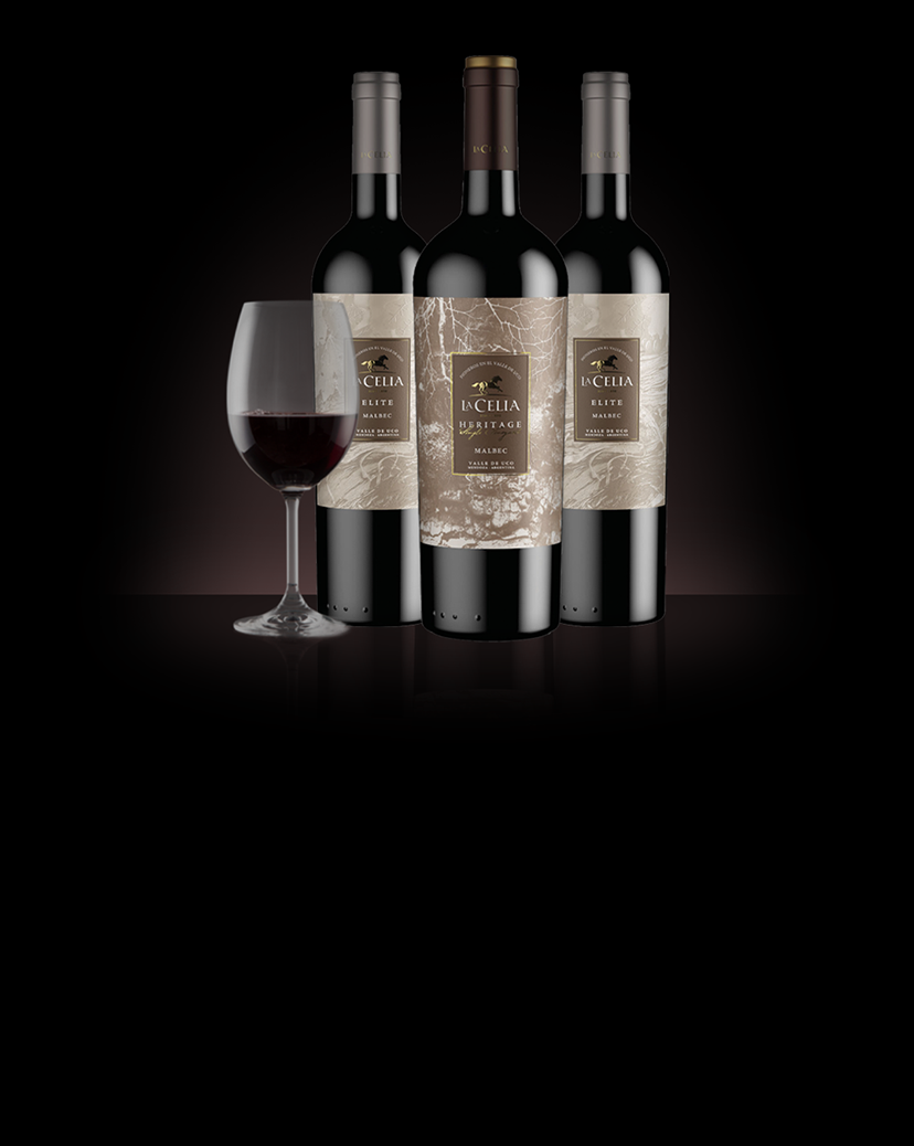 Wine phone