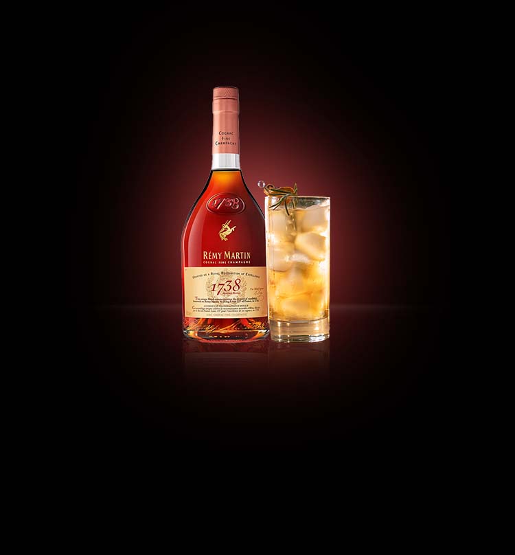 Best Remy Martin Mixed Drinks 2023 AtOnce