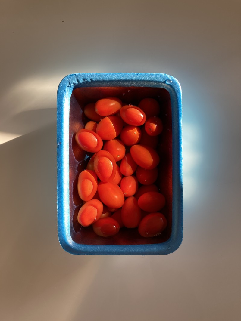 21-1-AAR_eau_lumiere_tomates_plastique 