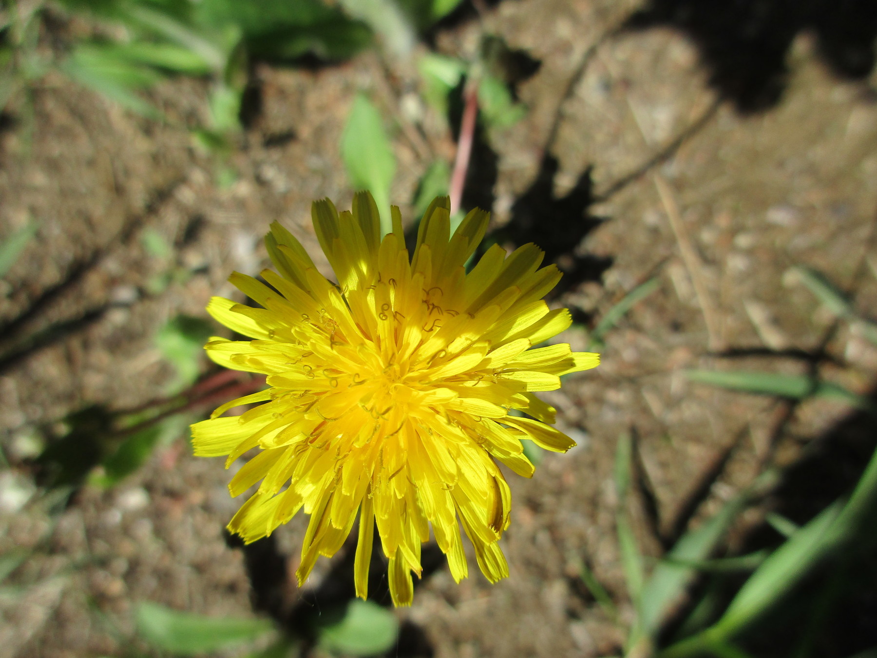 Croire en la nature, Audrey Bordeleau 