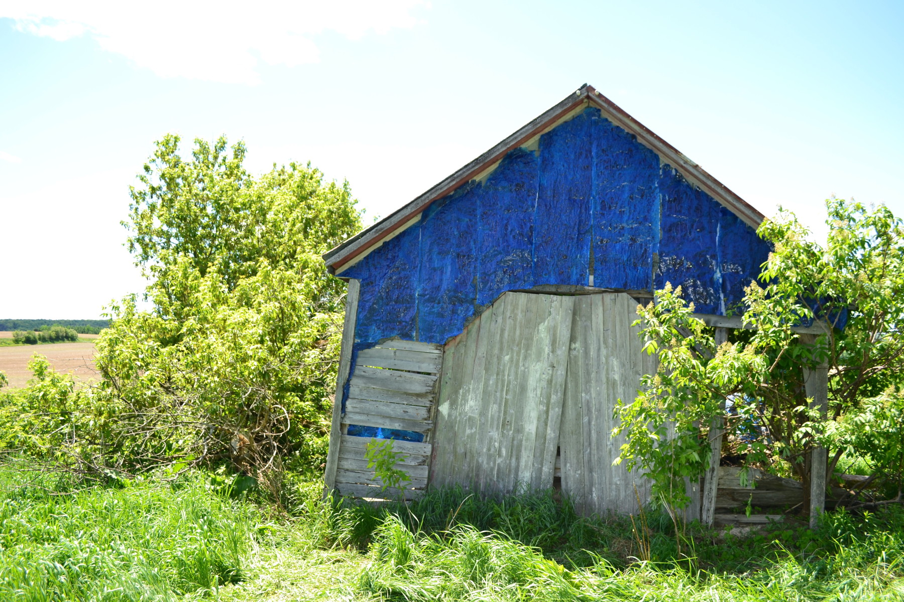 Mémoire bleu 1, Dominique Pottier 