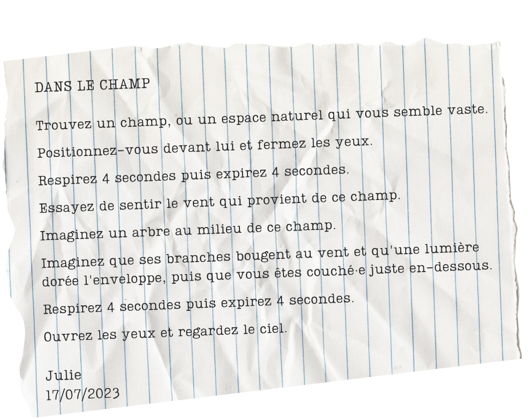 Dans le champ, Julie Amstrong-Boileau 