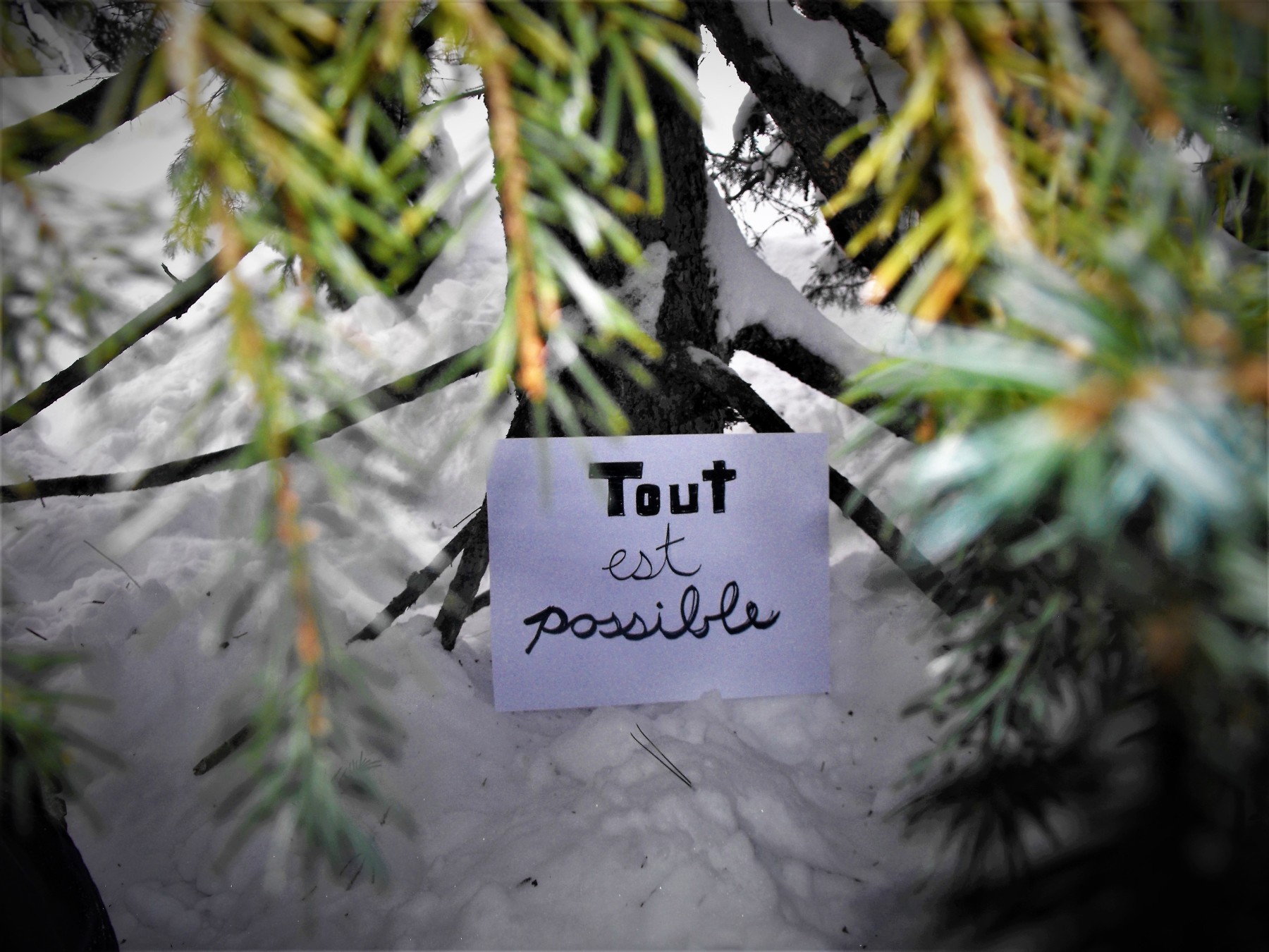 Tout est possible…, Audray Bordeleau 