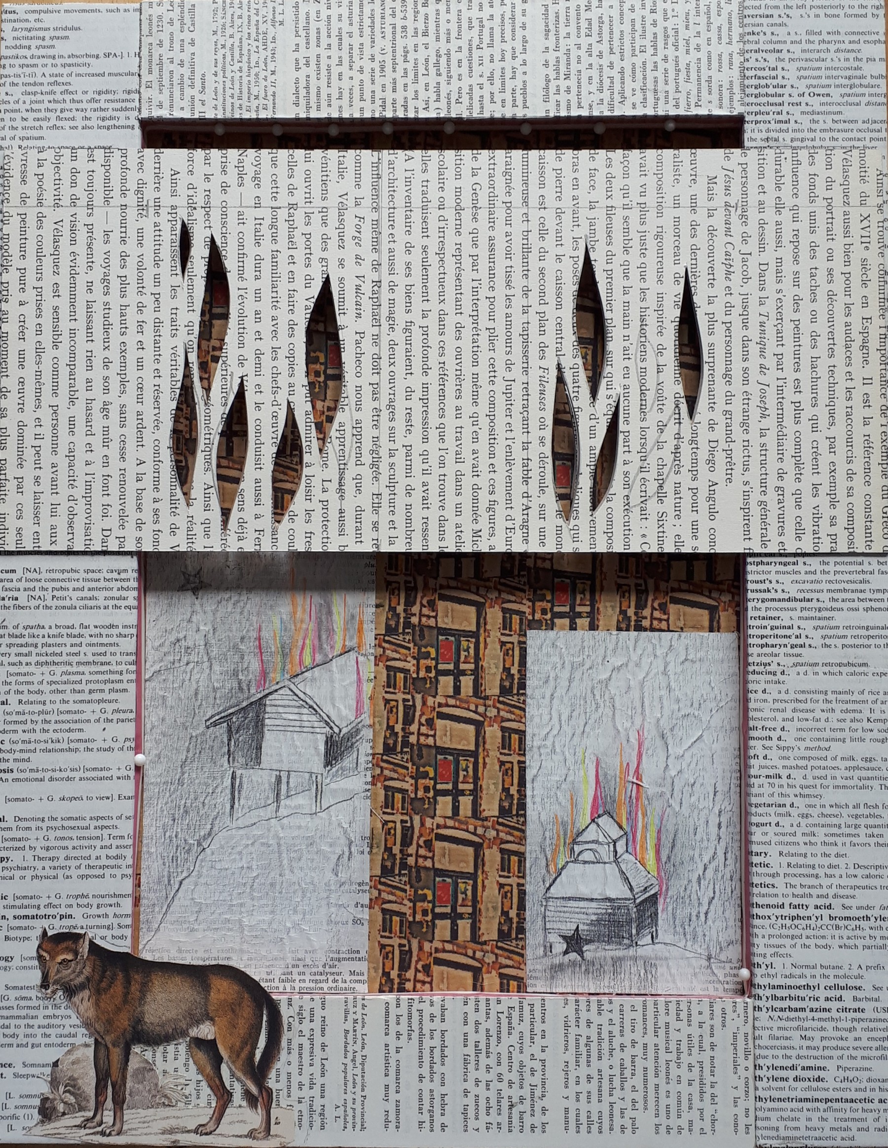 Page 548 - Ukraine / house on fire, Série
  Encyclopédie, volume 2, Ann Bilodeau 