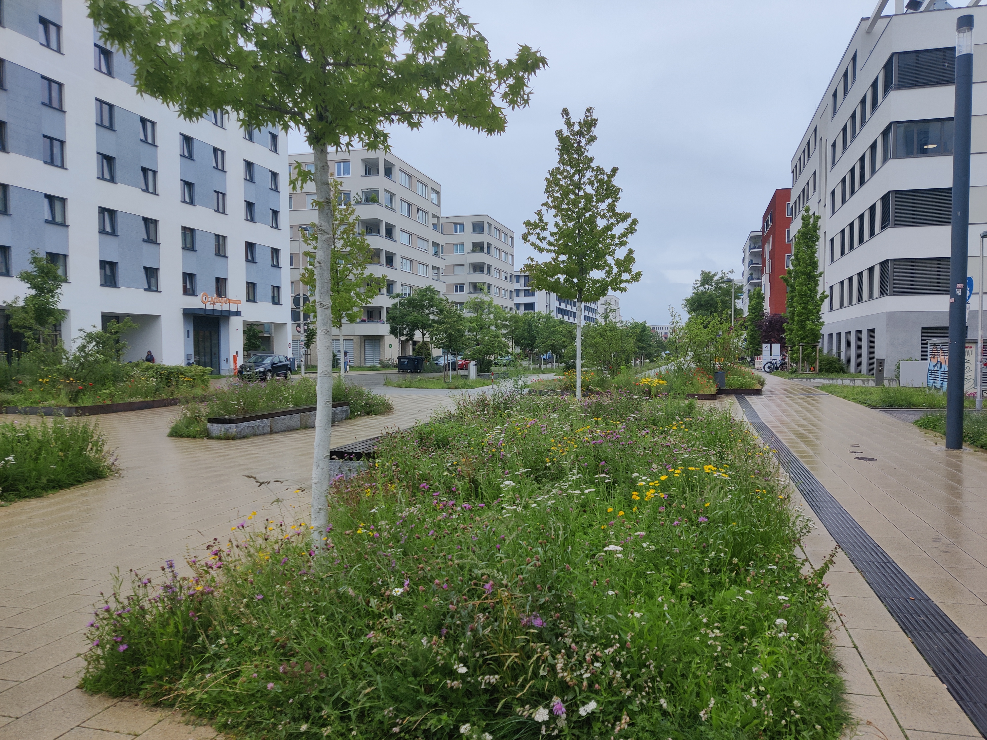 Image showcasing Carbon cycle in urban green spaces - Finnish Meteorological Institute