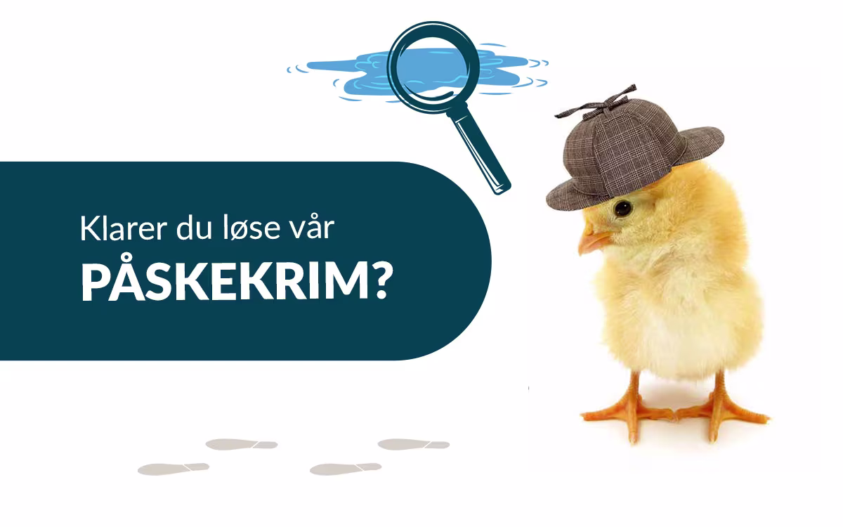 Blogg bilde av {title}