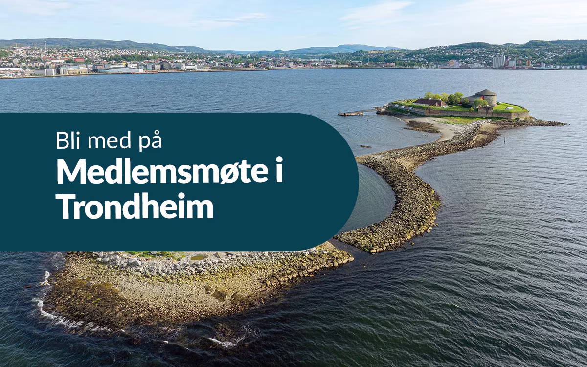 Blogg bilde av {title}