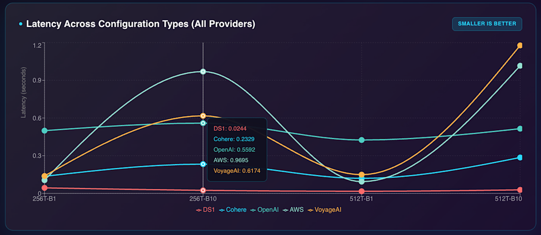 DS 1 - Embedding Benchmark Report