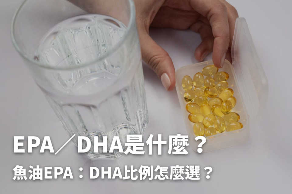EPA／DHA是什麼？魚油EPA：DHA比例怎麼選？