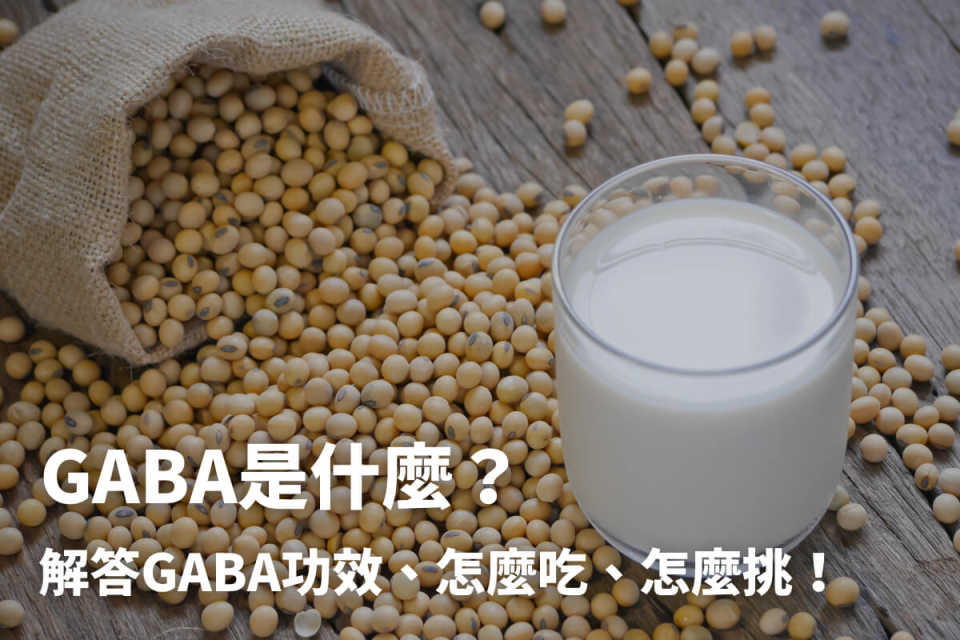 GABA是什麼？解答GABA功效、怎麼吃、怎麼挑！