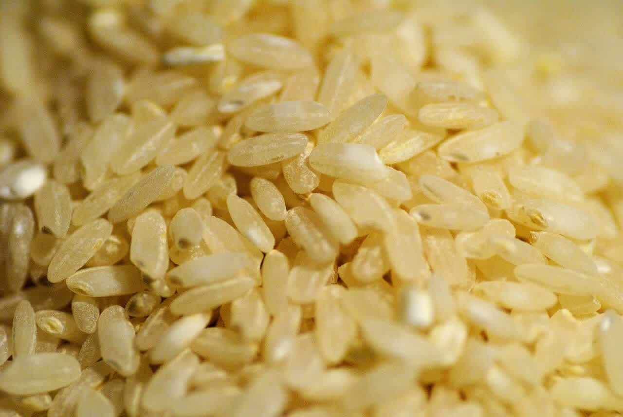 糙米怎麼煮？糙米雖有5大好處但「這些人」不適合！