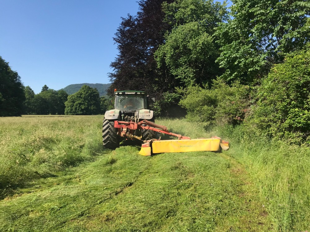 Kitzrettung 2019 5
