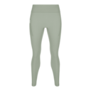 Performance Tights in Tin