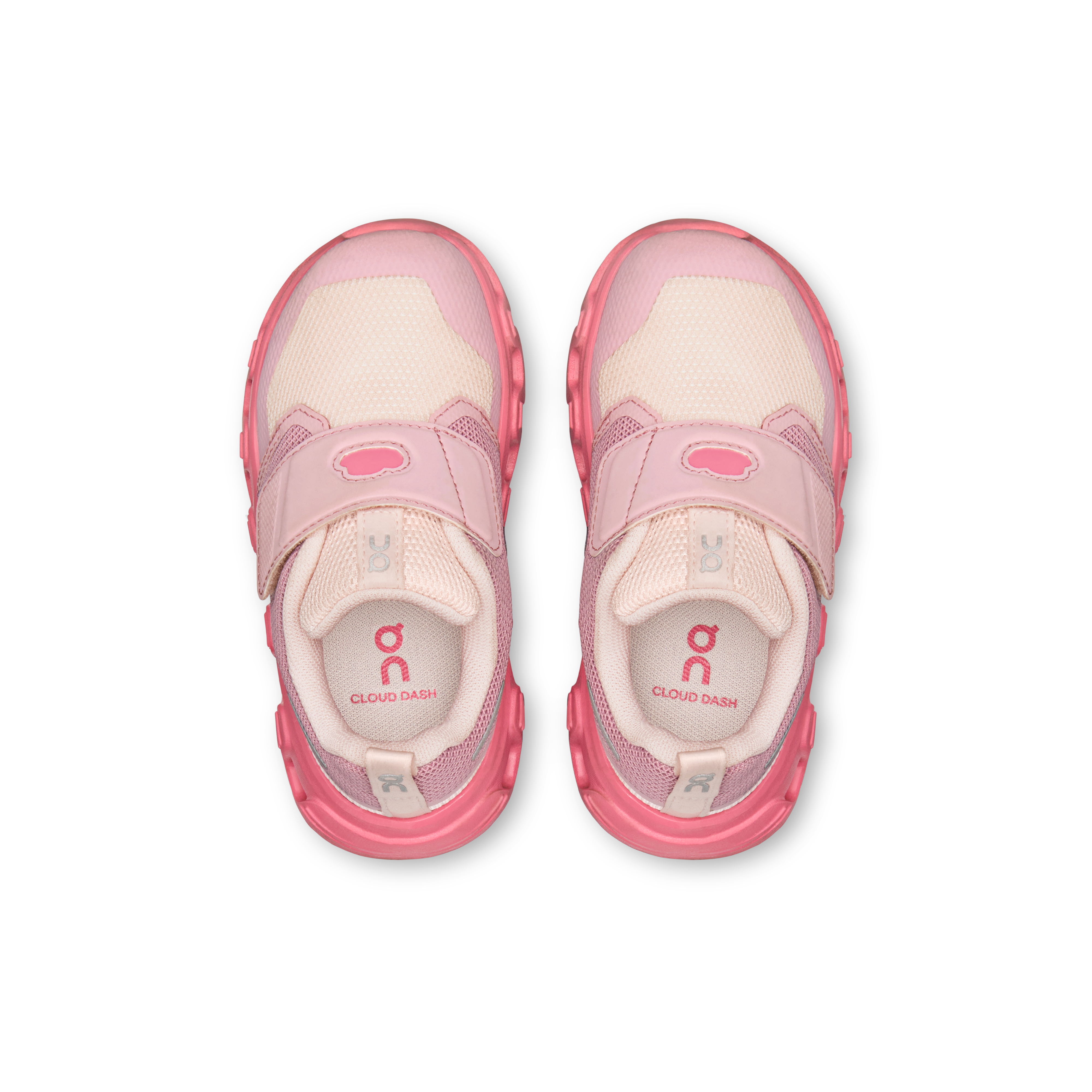 Cloud DashUnisex / Zephyr | Camellia / 27