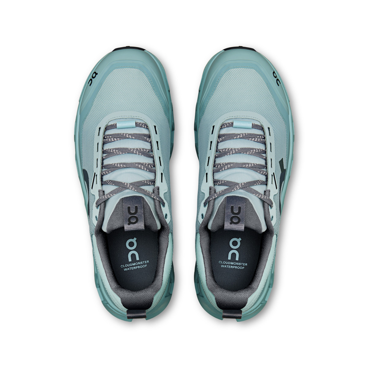 Men's Cloudmonster 1 Waterproof