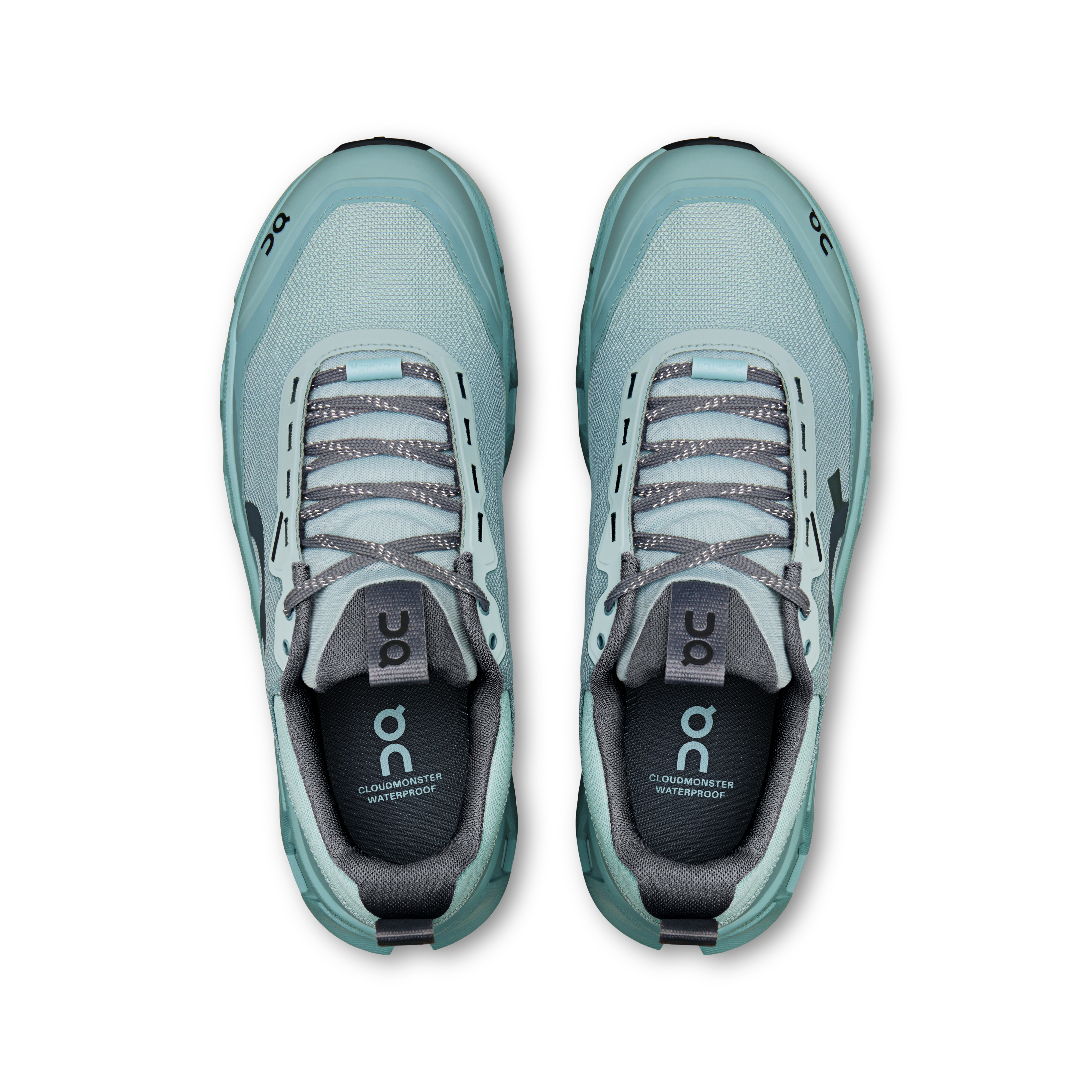 On Cloudmonster 1 Waterproof Brook & Wash Men Active life Shoes