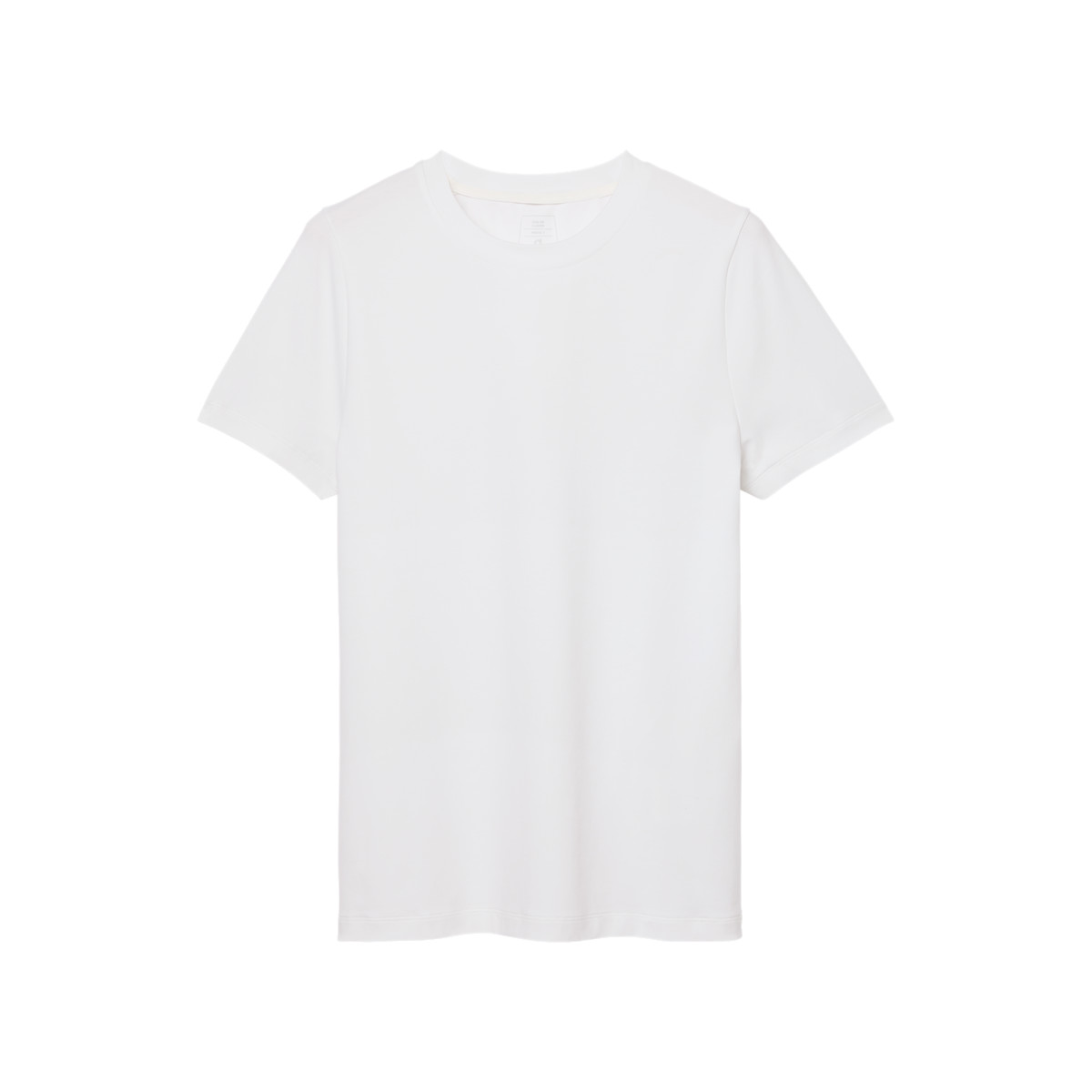 Women's Focus-T