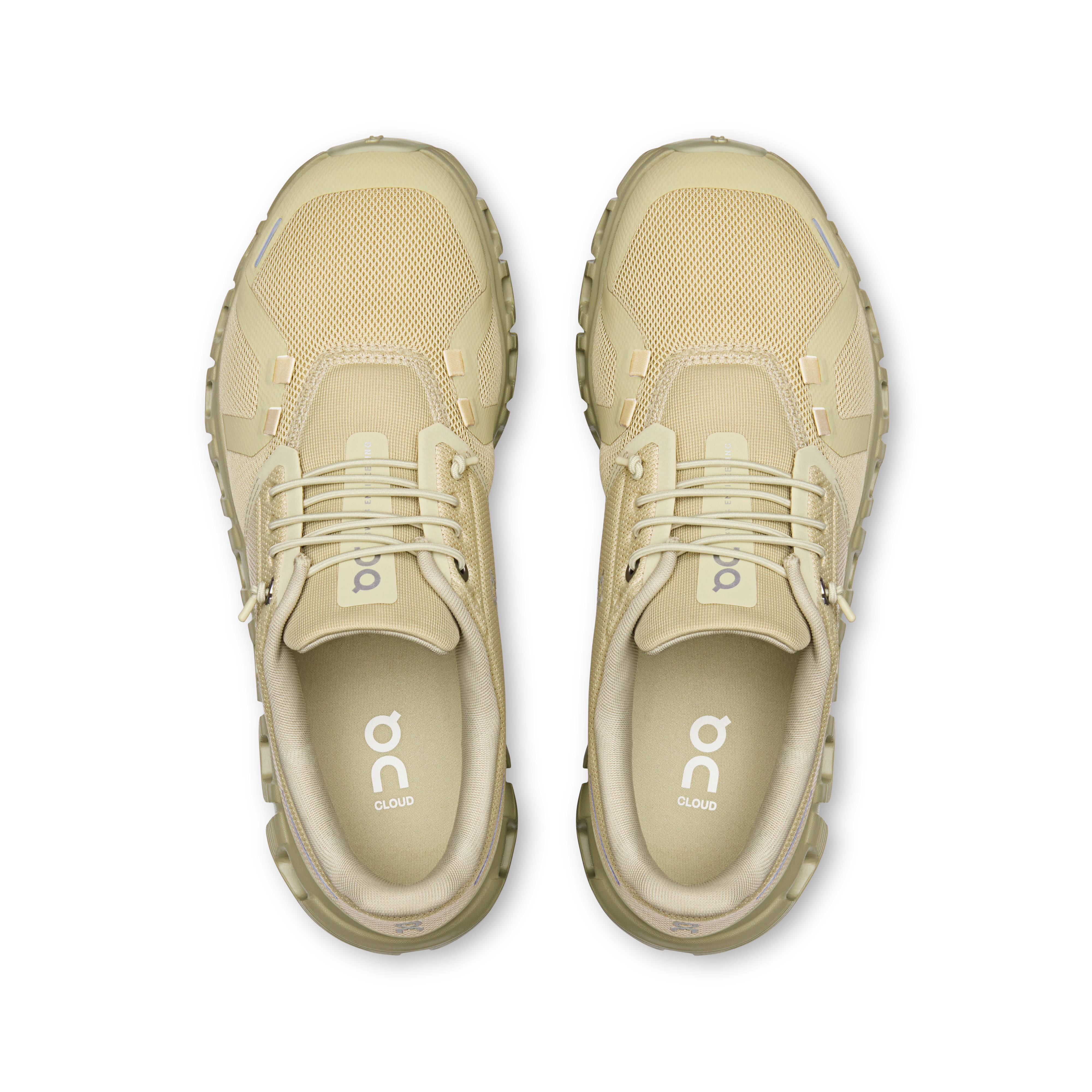 On Cloud 6 Haze & Fen Women Active life Shoes