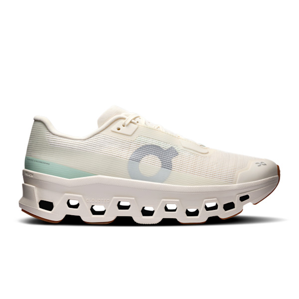 Women's Cloudmonster Void