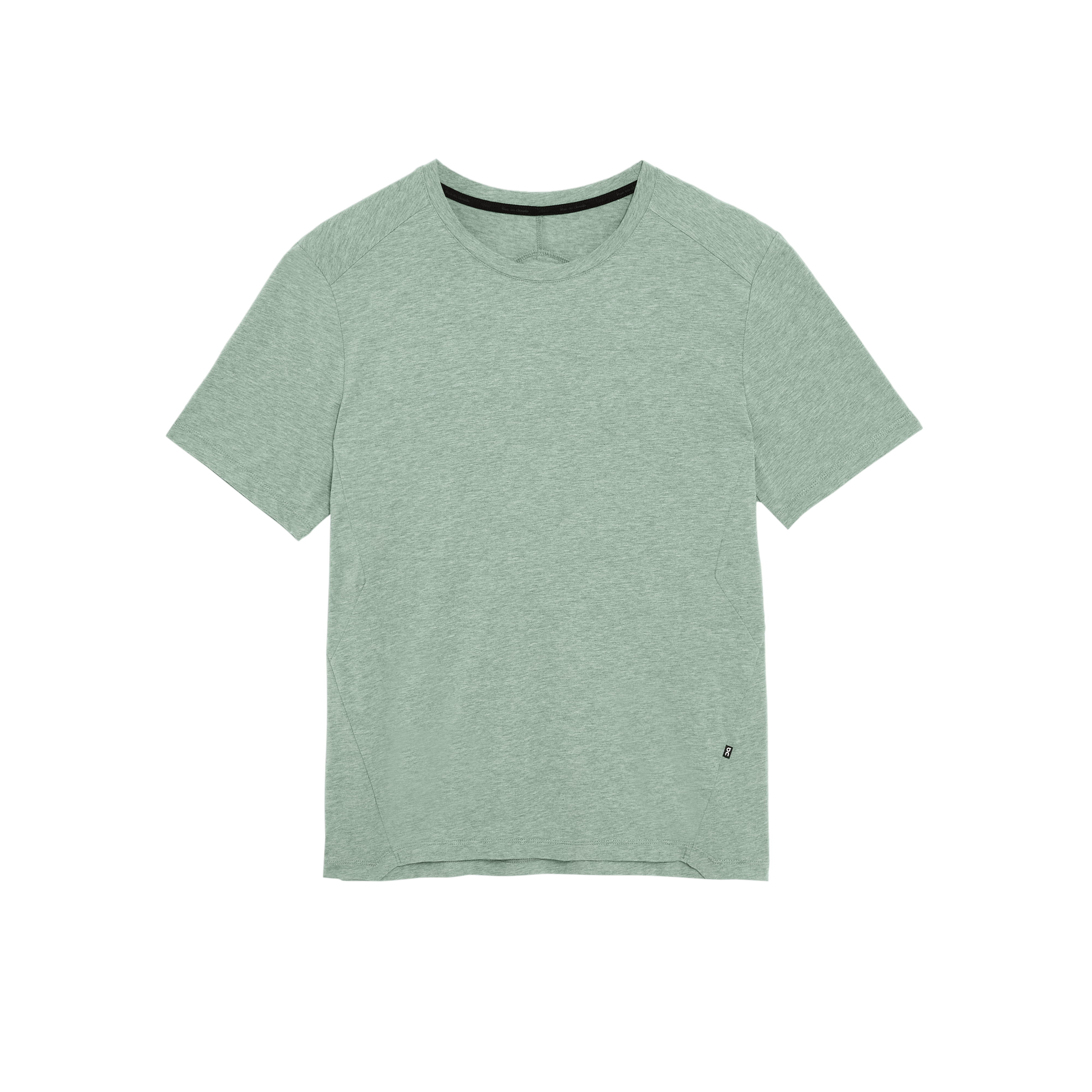 Algae