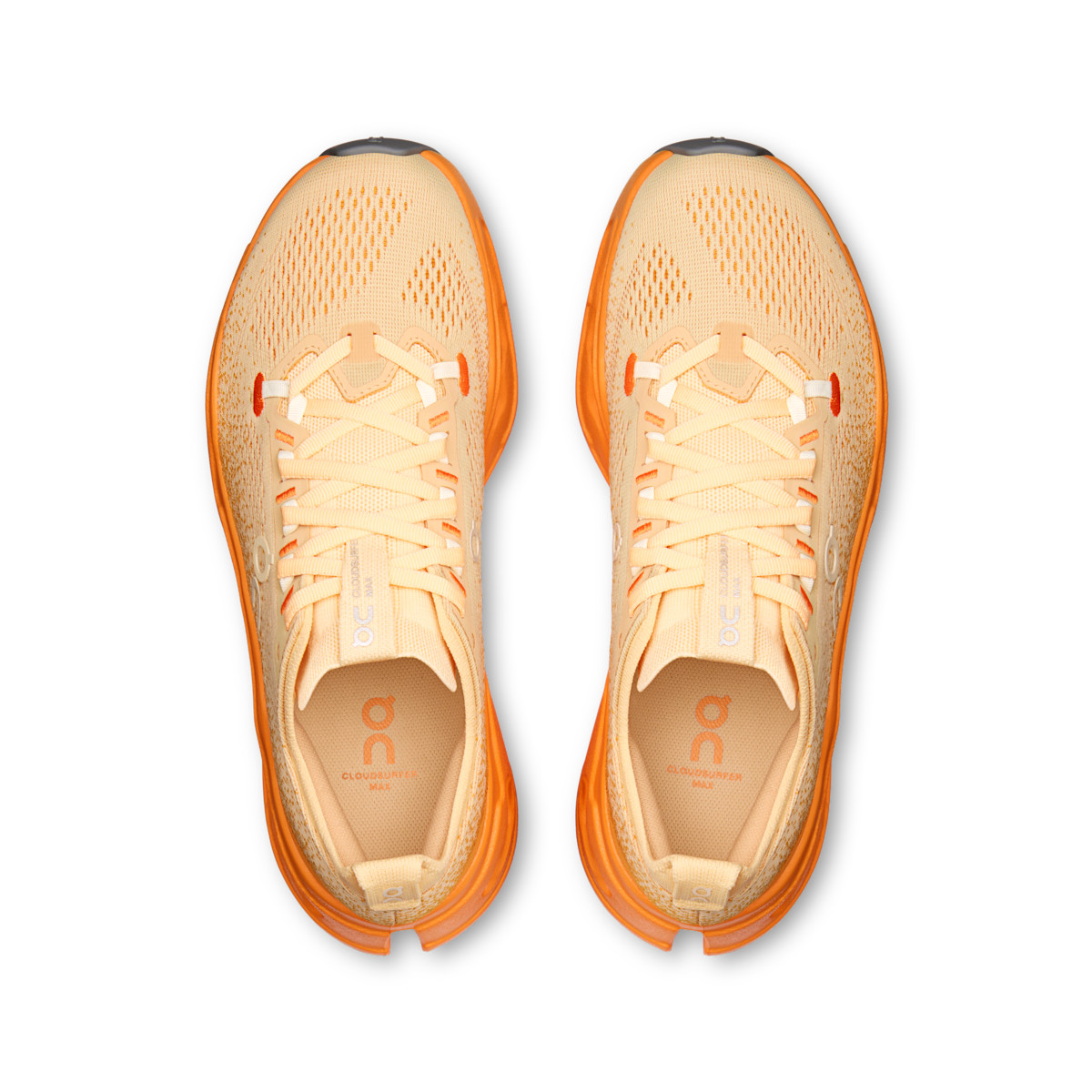 Women's Cloudsurfer Max
