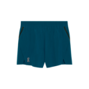 Train Shorts in Tempest