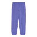 Club Pants in Iris