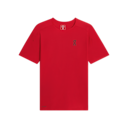 Performance-T Short-Sleeve Shirt in Tundra/Mulberry