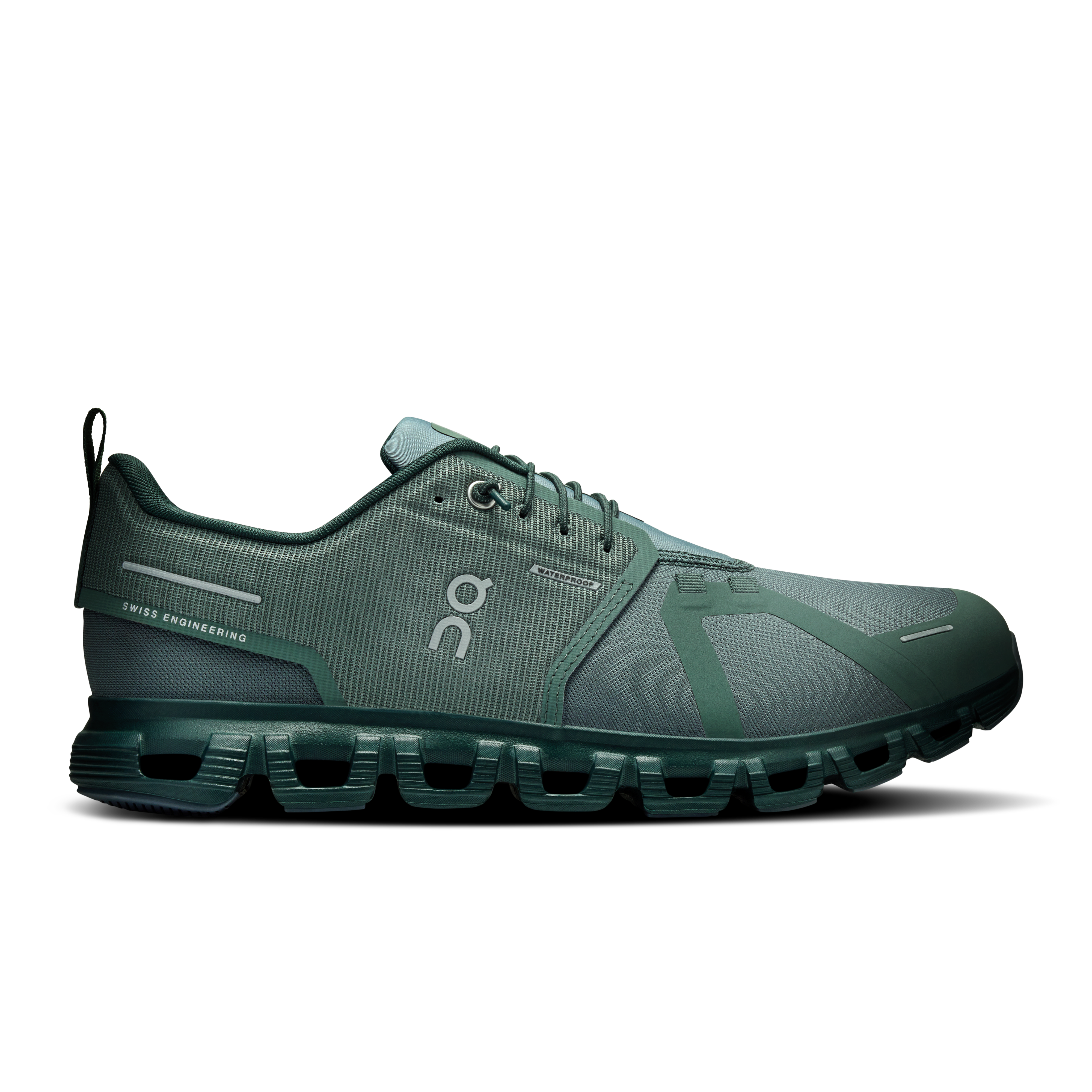 Olive | Evergreen