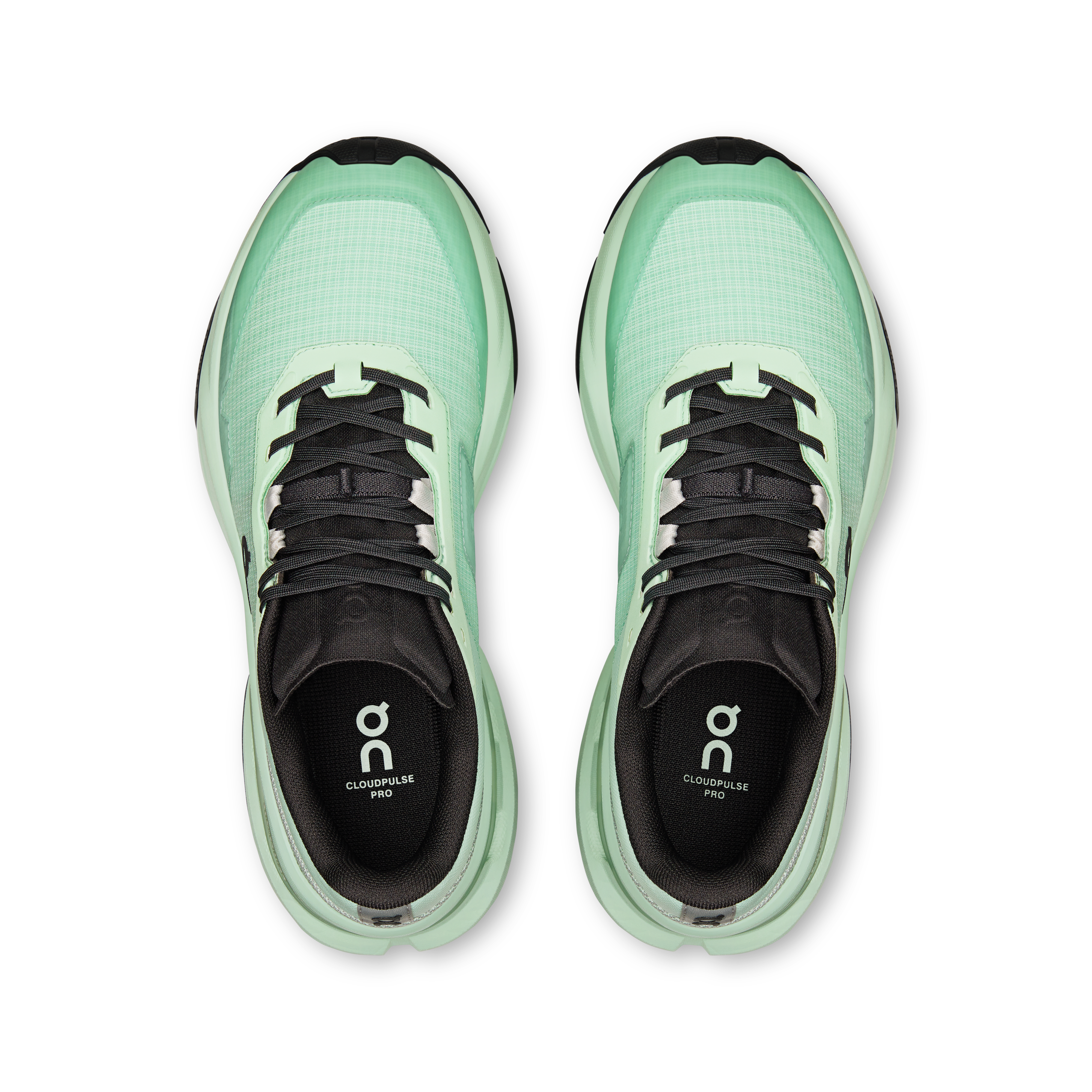 Cloudpulse ProWomen / Creek | Black / 41