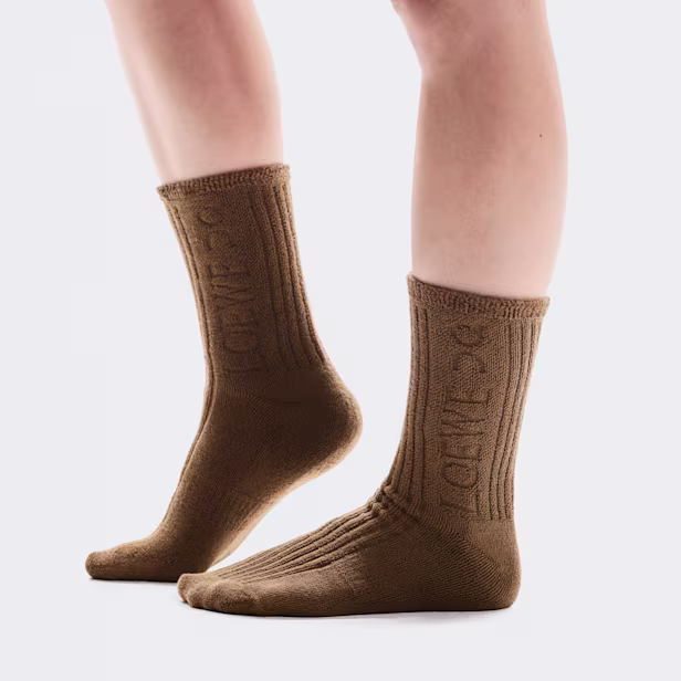 Socks LOEWE in Toffee