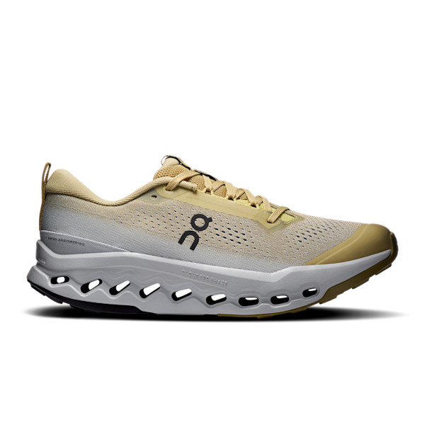 Men's Cloudsurfer Trail 2