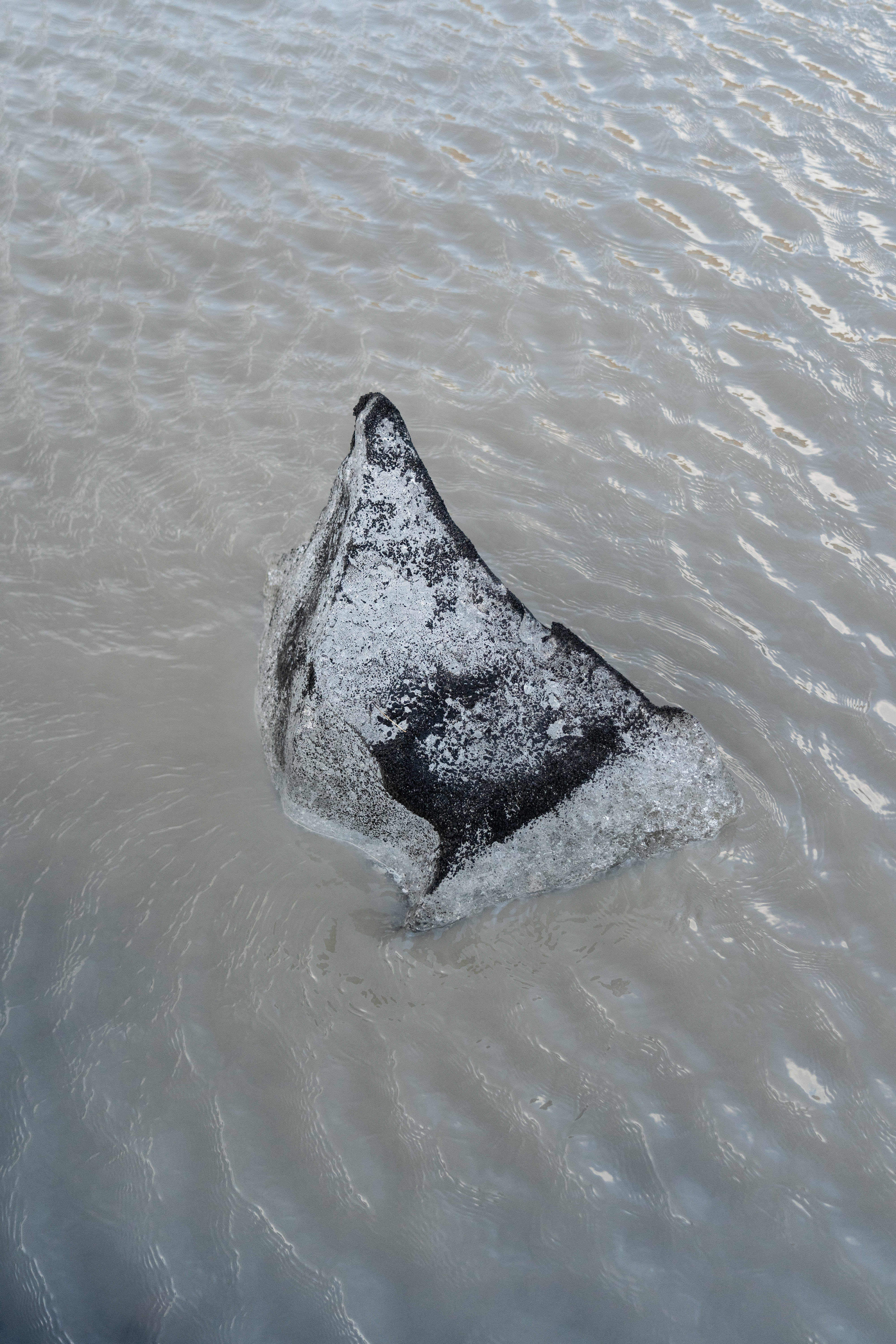 The cold hard facts and benefits of cold water therapy | On United States