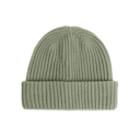 Studio Beanie in Taiga