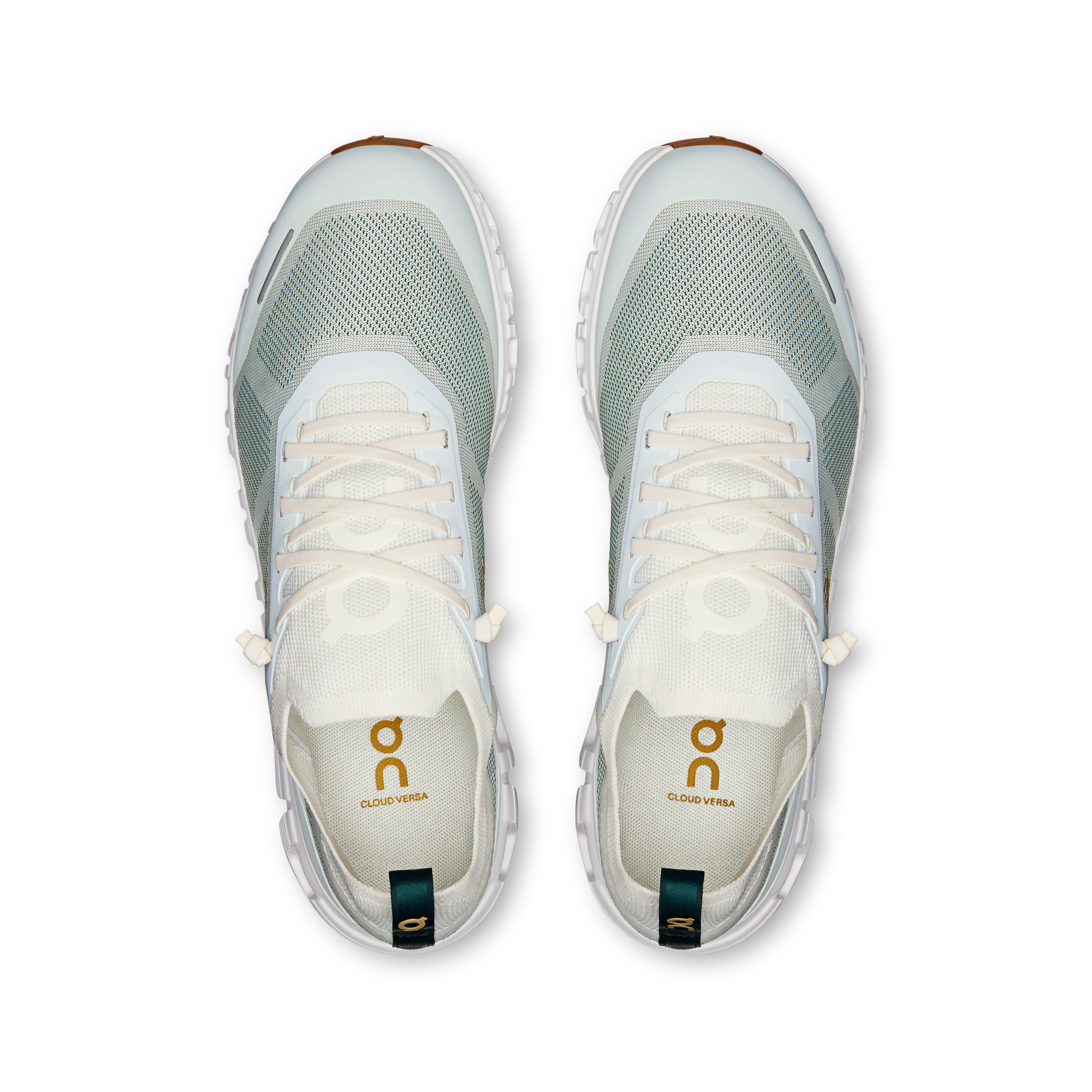 On Cloud 6 Versa Ice & Spirulina Men Active life Shoes