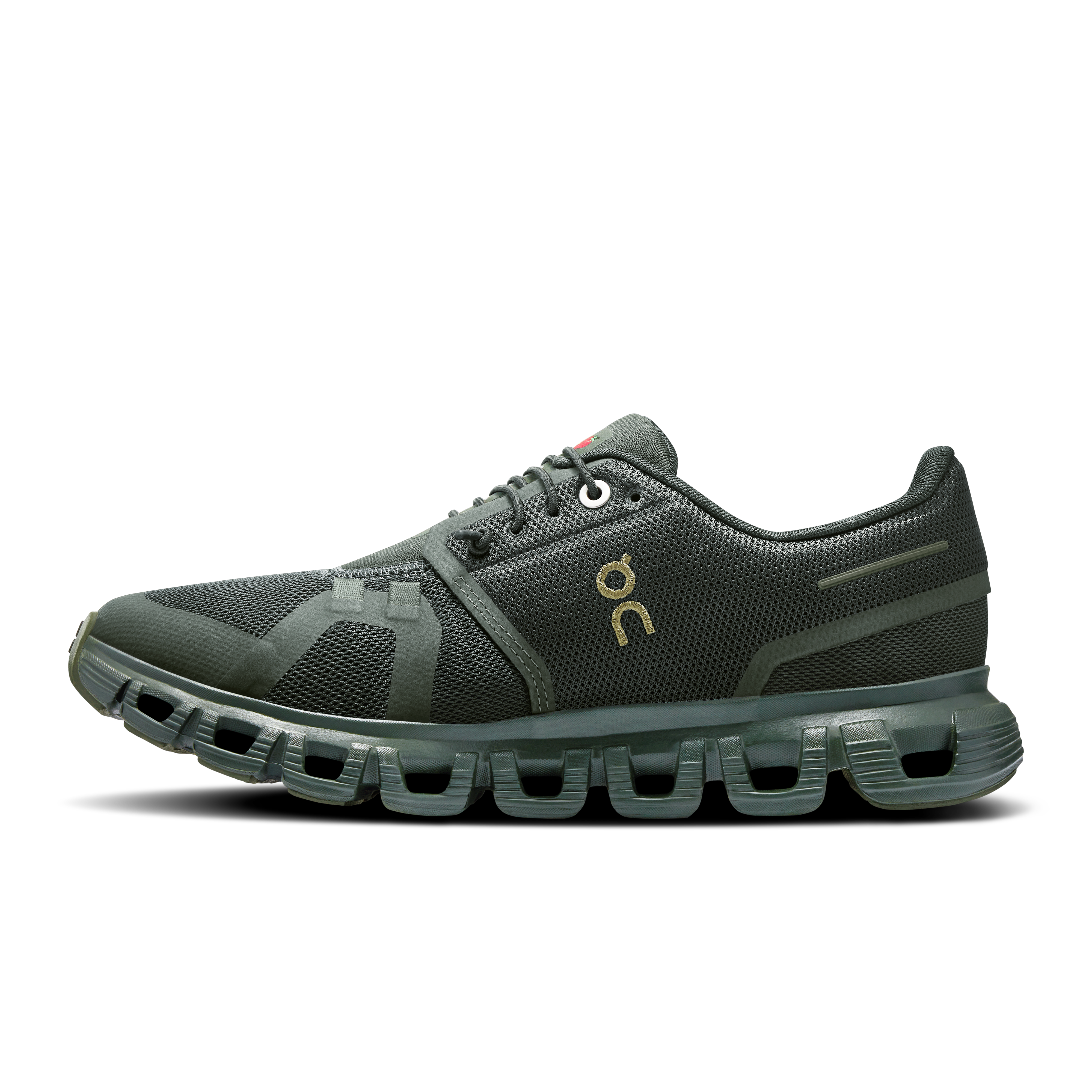 On Cloud 6 SHF Fir & Fir ウィメンズ シューズ