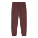 Focus Pants in Mulberry