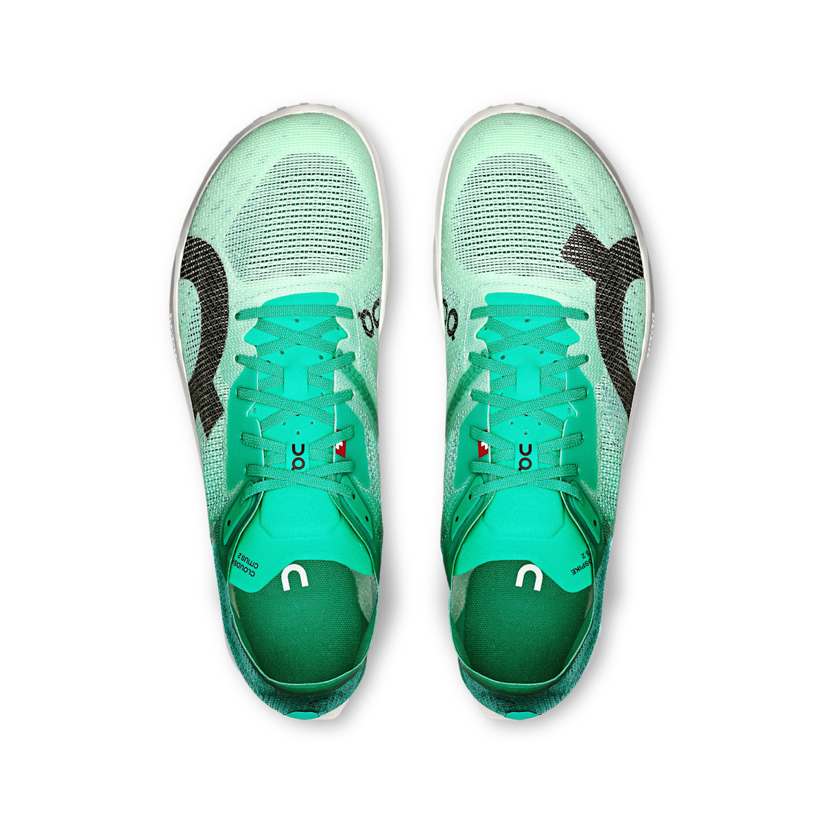 Women's Cloudspike Citius 2