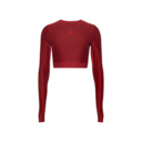 Train Long Sleeve Crop Year of the Horse Long-Sleeve Shirt in Sienna