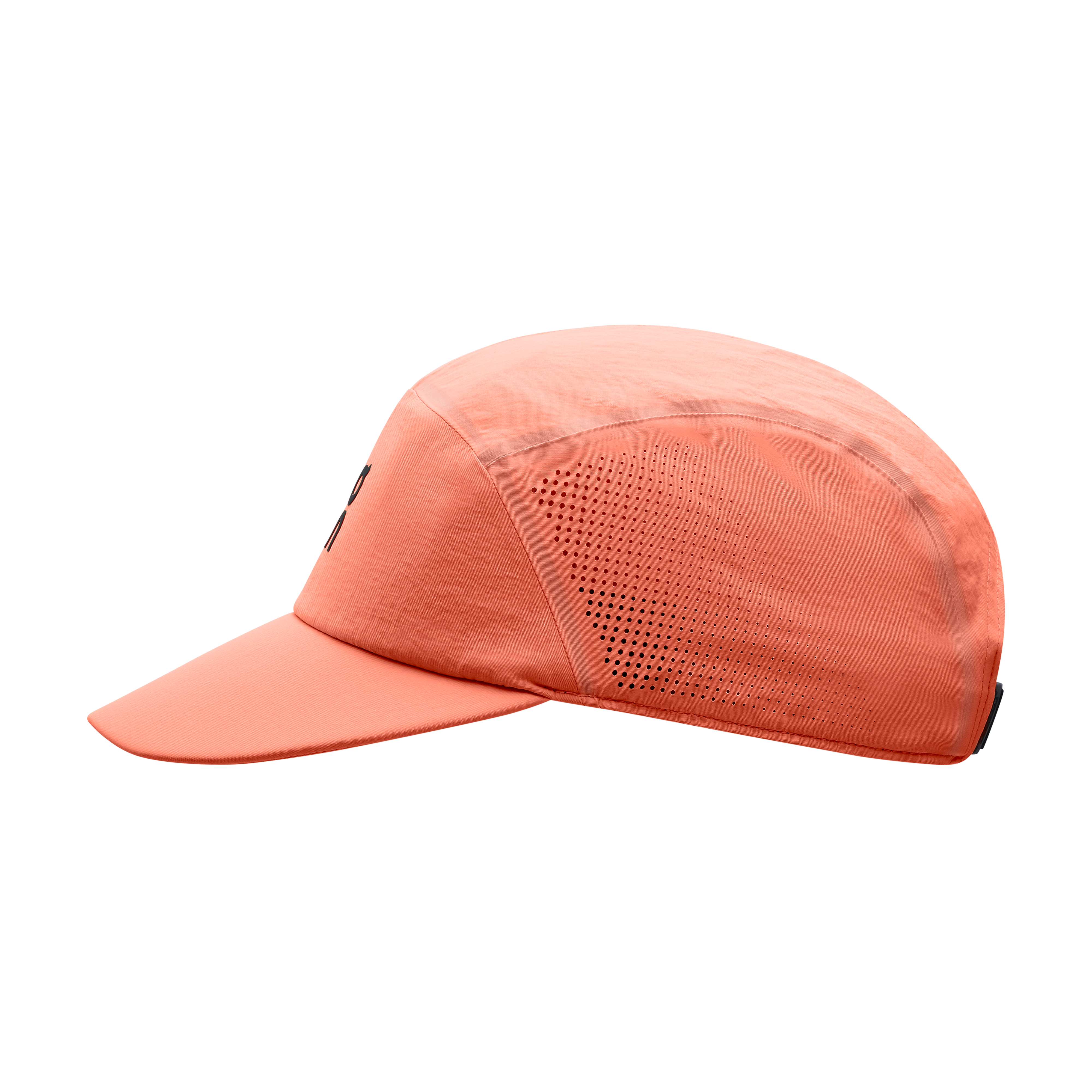 Performance Cap in Salmon