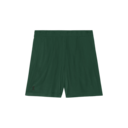 Train Volt Shorts in Obsidian