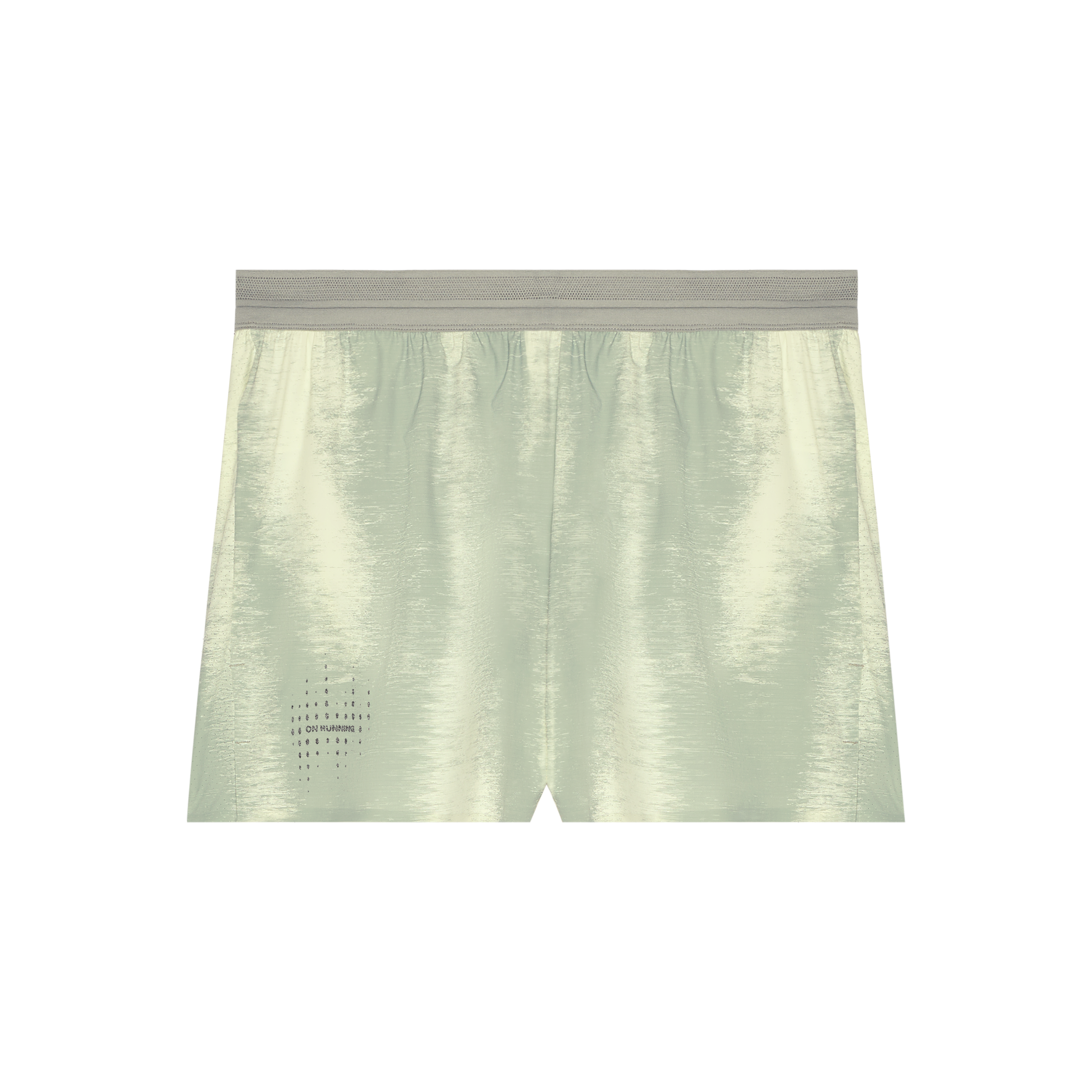Performance Shorts Terra in Seedling/Tin
