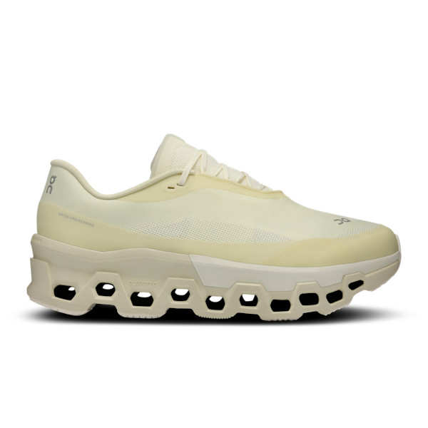 Men's Cloudmonster 2 PAF
