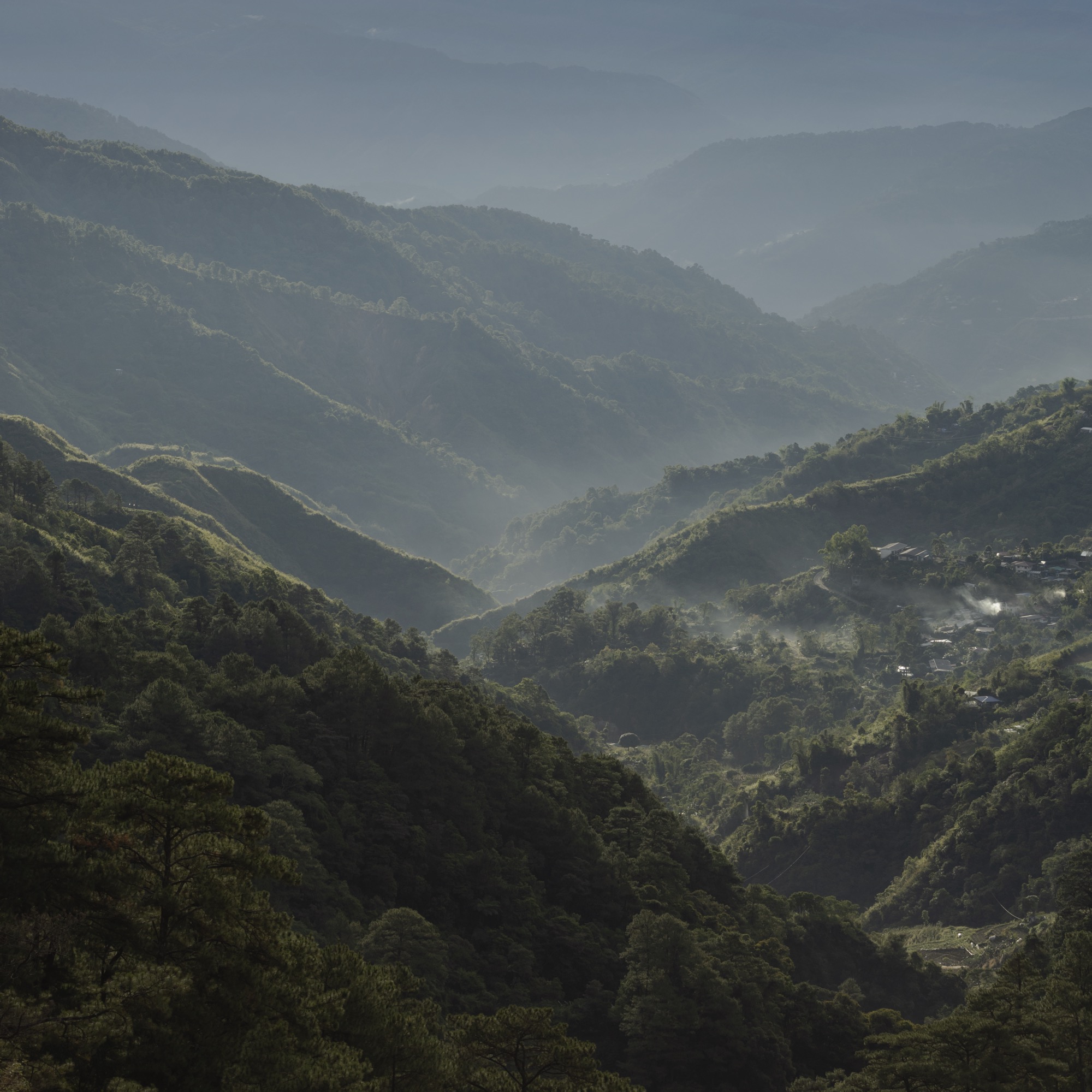 Sustainability in action