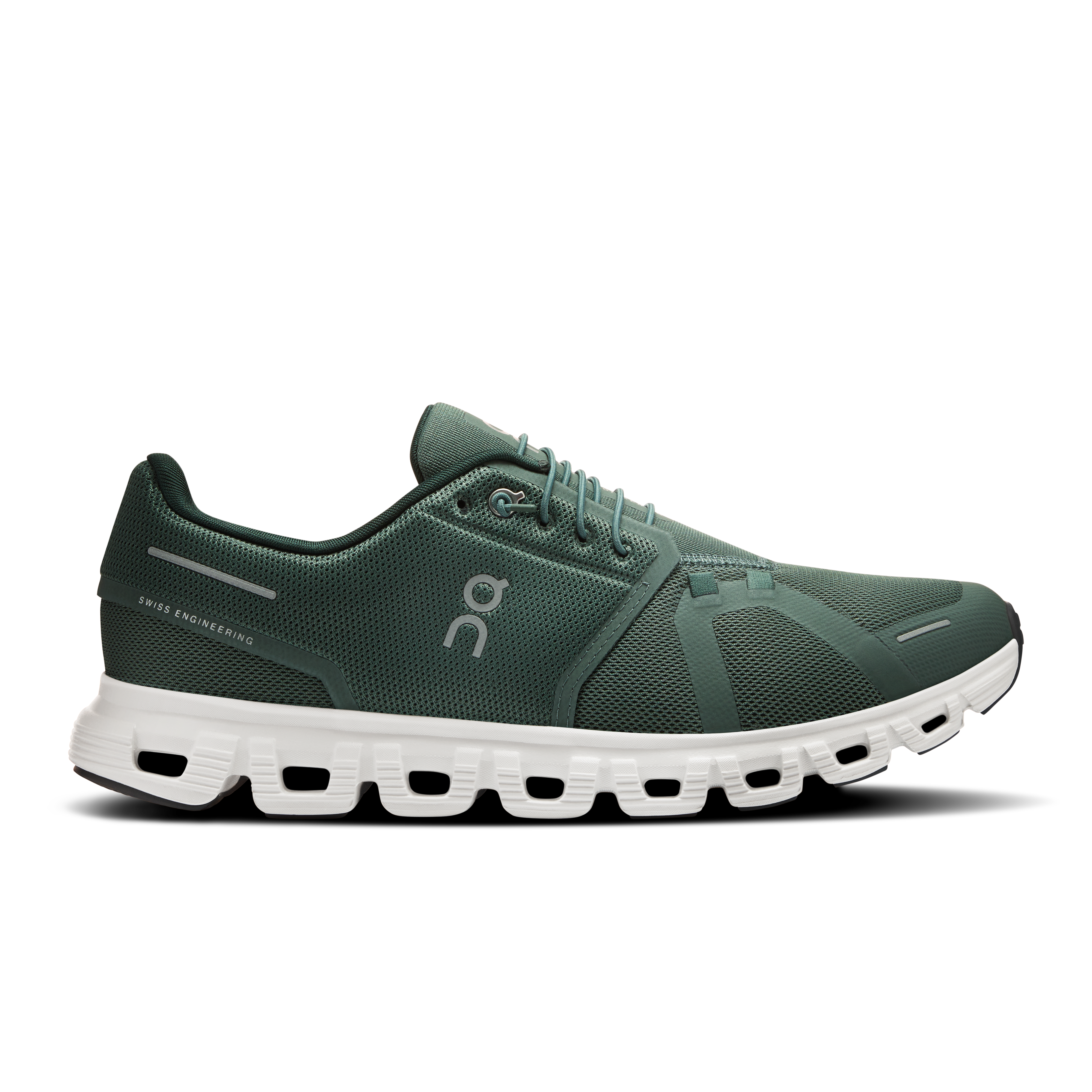 Olive | Evergreen